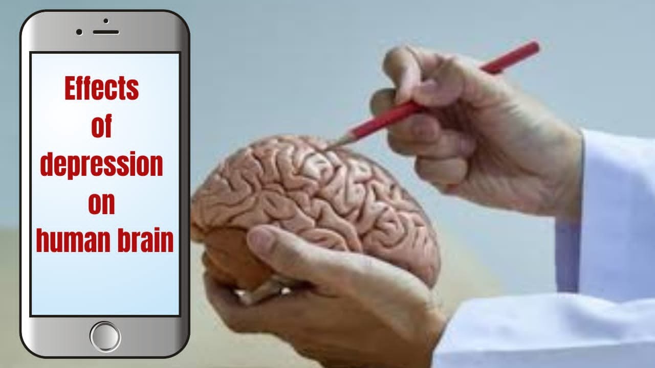 Effects of Depression on the Human Brain - YouTube