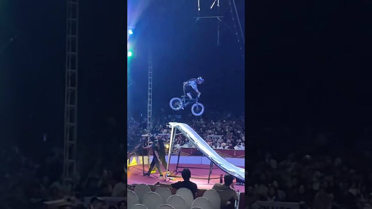 valentines day 2025: circus night live show 🎪🤡✨