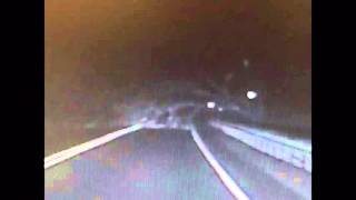 Mansfield Twp. officer has close call with falling tree