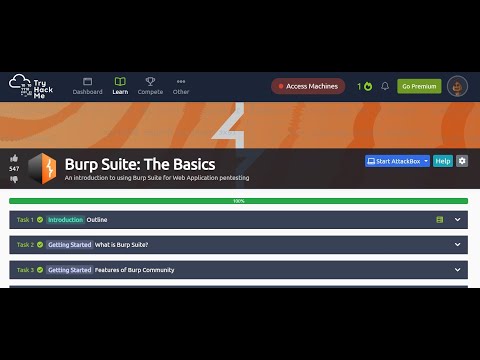 Burp Suite: The