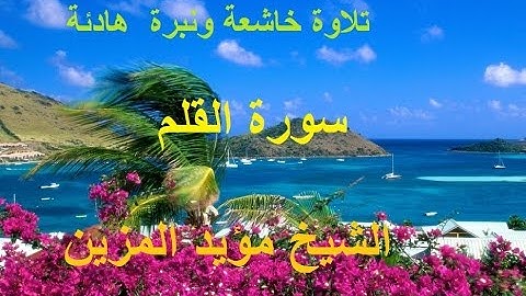 تلاوة رائعة جدا ونبرة خاشعة  للشيخ مؤيد المزين    - سورة القلم