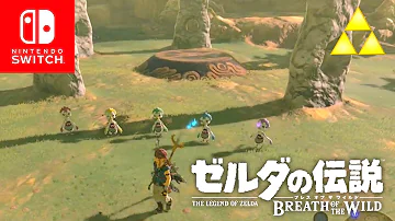 ゼルダ リトの兄弟岩 ゼルダ リトの兄弟岩