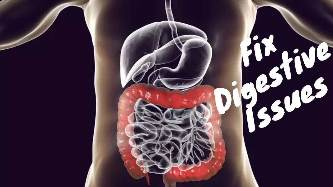 Fix Digestive Issues How To Fix Ibs Gas Bloating Digestive Issues fix-digestive-issues-how-to-fix-ibs-gas-bloating-digestive-issues