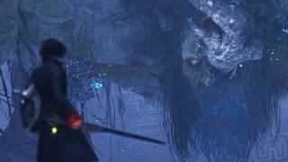 Zanny chose to crashout on the most random boss in Lies of P
