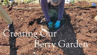 Creating Our Berry Garden | Planting Blackberries, Raspberries, Blueberries, Honeyberries and More