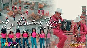 La Pantera Rosa Huapango (Video Oficial) - Loz Tirikumbia