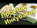 Простая электроника для инкубатора! JLCPCB.COM