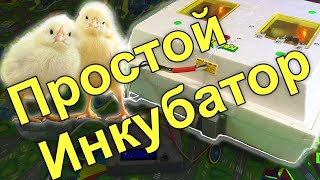 Простая электроника для инкубатора! JLCPCB.COM