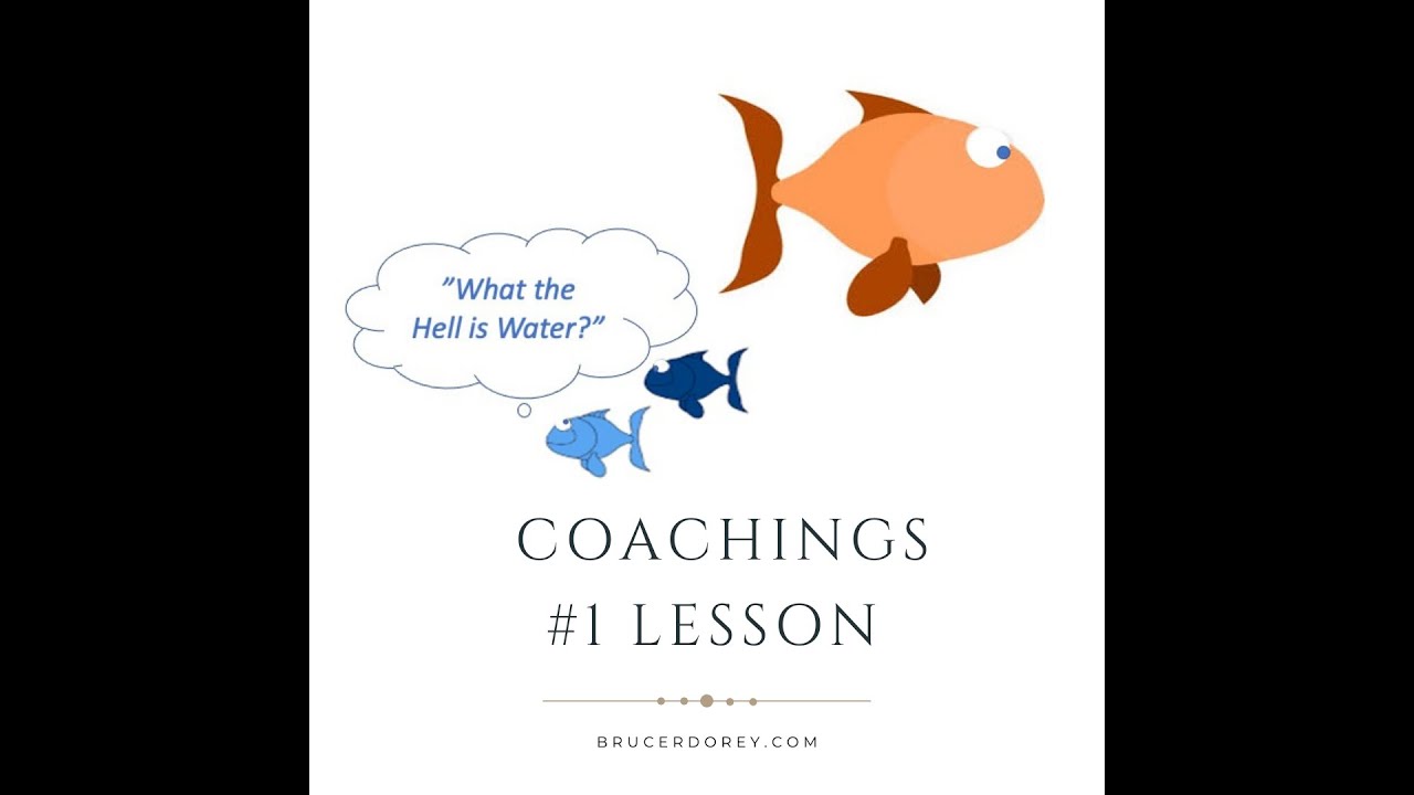 WHAT THE HELL IS WATER?