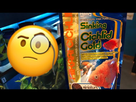 Review: Hikari Mini Sinking Cichlid Gold Pellets