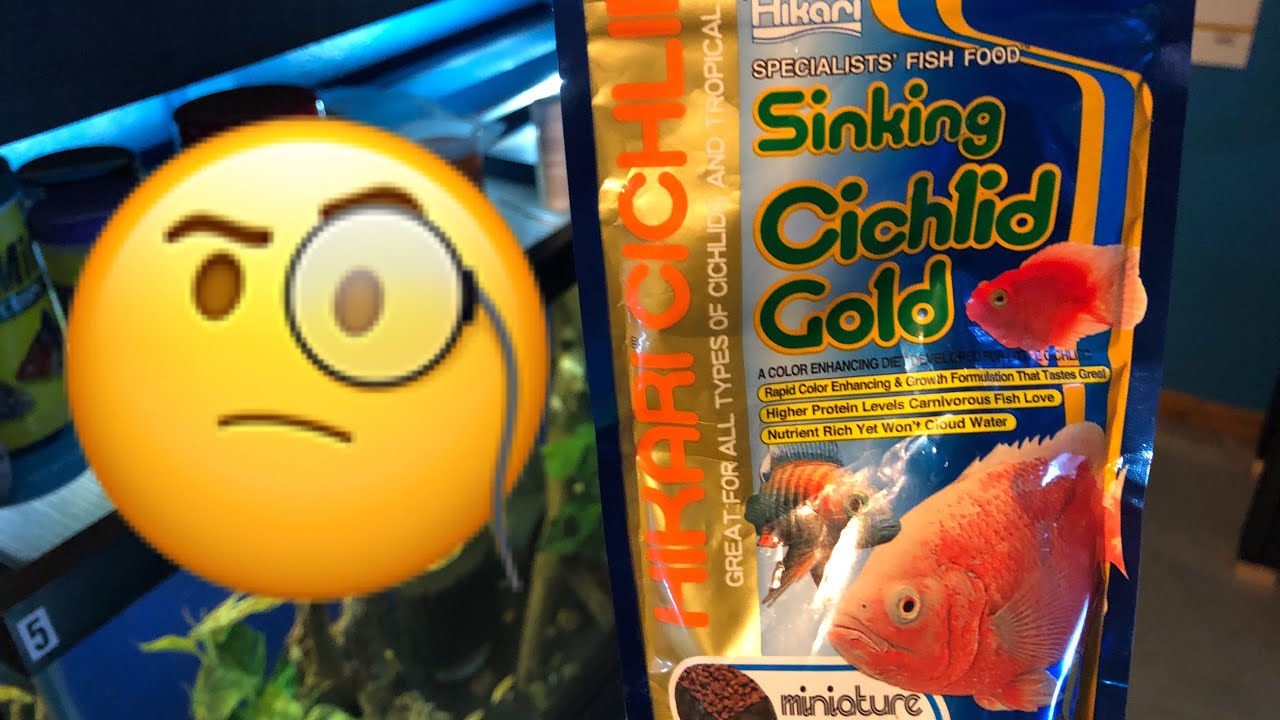 Review Hikari Mini Sinking Cichlid Gold Pellets