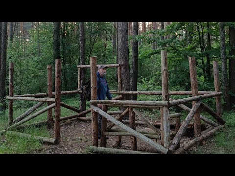 Пришёл на хутор а там? | Жизнь в лесу с диким кабаном | бушкрафт | bushcraft.