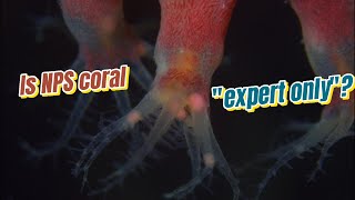 Is NPS coral really "expert only"? screenshot 4