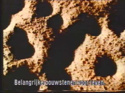Wasa spot 199x