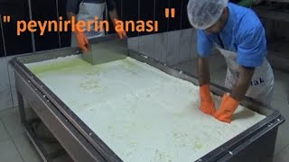 Gerçek Teleme Peynir Tarifi, Nasıl Yapılır / Süt İşleri Serisi / SütBir