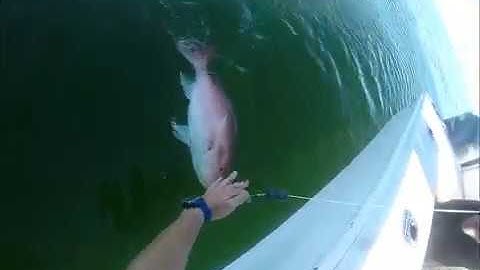 Red Snapper fishing in Texas state waters