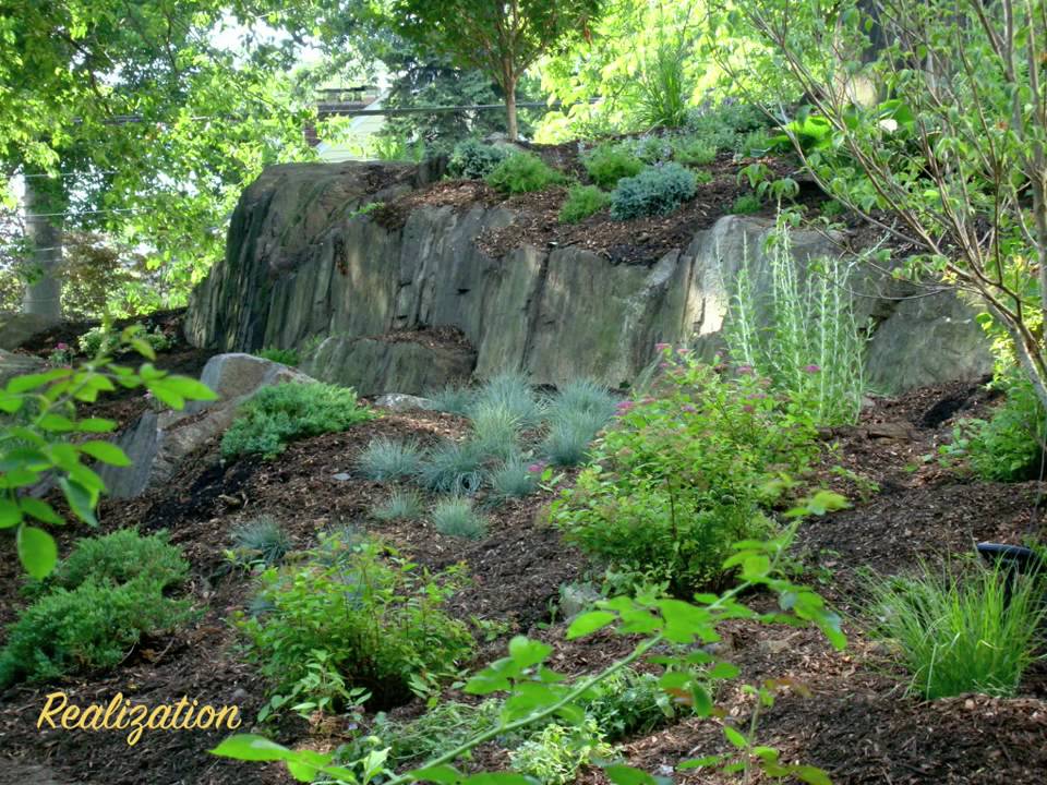 Nature's Cradle Before & After part 1