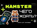 Тапалки - Кто зарабатывает?  Hamster Combat - чего ждать?