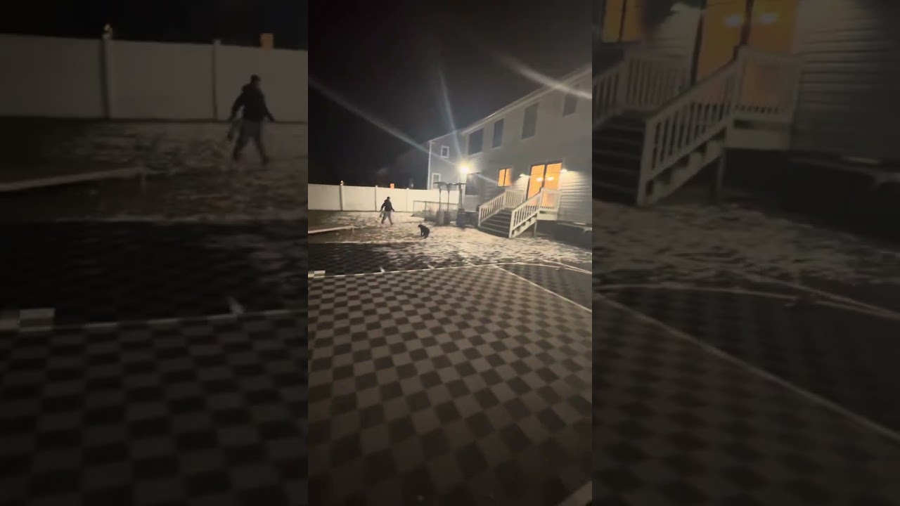 Hazel playing fetch with her cousin 