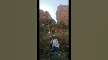 ፊያታዊው ዜማ አምላኩን ለመነ 
