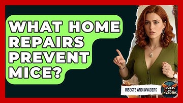 What Home Repairs Prevent Mice? - Insects and Invaders