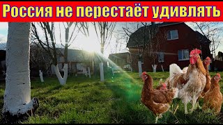 Переселенцы из Германии/Занимаемся птицеводством