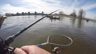 Red Wing Dam Spring Fishing for Walleye and White Bass