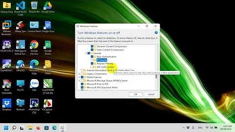 Hướng dẫn chi tiết cài đặt Internet Information Services (IIS) Manager trên Windows 11 (cả bản Home)