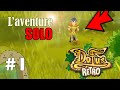 Dofus retro  aventure solo en cra  pisode 1  incarnam et premier stuff