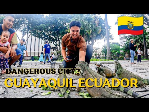 Solo Travel in Ecuador's Most Dangerous City | Exploring the Raw Side of Guayaquil (Travel Vlog)