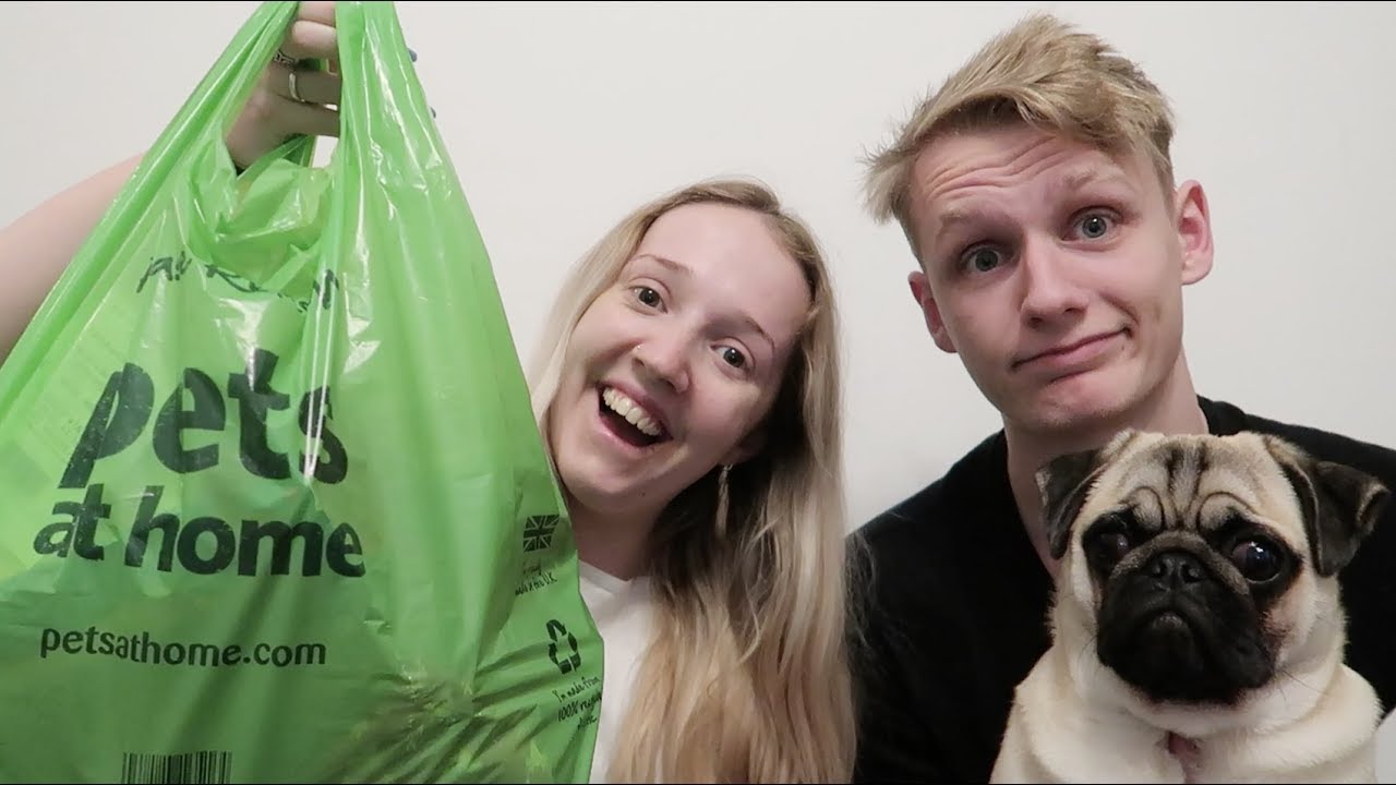 Pets at Home Christmas Haul! YouTube