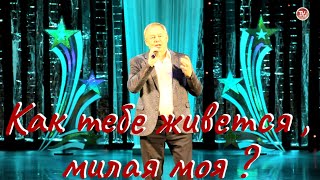 Анатолий Бровин - Как тебе живется, милая моя? / Народный артист Севмаша / СербаТВ 🔴