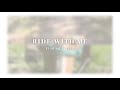 Ride with me: a lovely uneventful trail ride with some fun zoomies 🐴