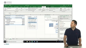 Excel. Tablas dinámicas. Filtros y Slicers (segmentación de datos) | 67/82 | UPV