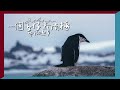 再見南極😢最後一次登岸了｜一個女仔去南極EP9｜ANTARCTICA VLOG｜RedisPolly