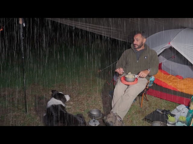 CAMPING in RAIN with TENT and DOG - MSR hubba hubba NX 2 class=