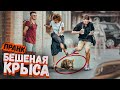 СТРАШНАЯ КРЫСА В ГОРОДЕ / Реакция прохожих на пранк