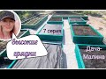 vlog 7 серая ДАЧА-МАЛИНА высокие тёплые грядки с нуля. Супер результат