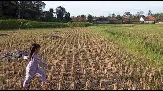 Buburitan Bersama Keponak Tercinta/Di temenin Lagu Malesia, 23/3/2023