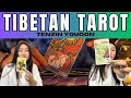 Tibetan tarot reader  tenzin taropist  tibetan vlogger  tibetan youtuber 2024