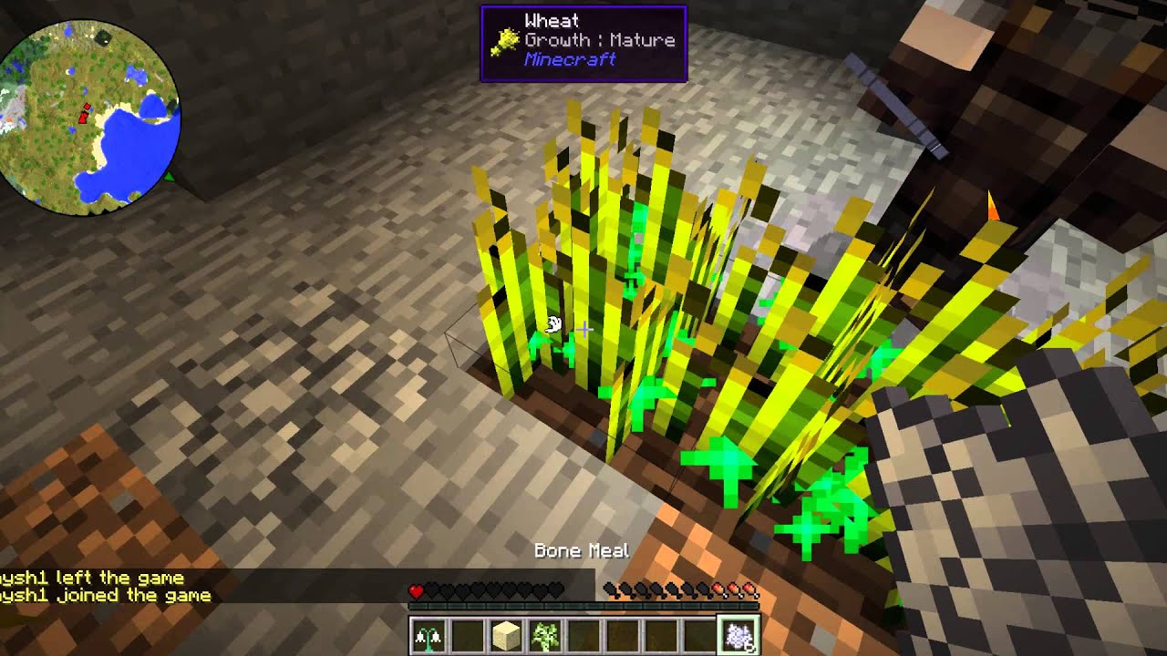 gaming logo WizardPunk SMP EP01