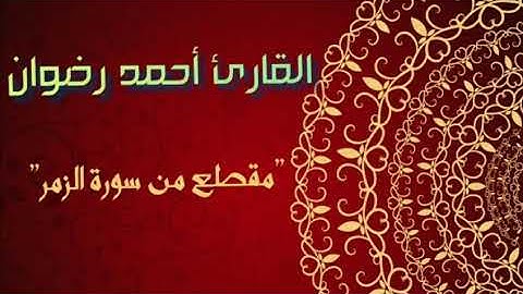 مقطع من سورة الزمر بصوت جميل ومؤثر جدا القارئ أحمد رضوان تلاوة عطرة