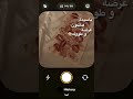 ياسيده هالكون عرضه وطوله 