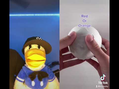 Guess the color challenge with El Ducky