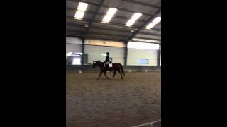 Dressage Test Training Level 3 ridden on Coosa Soft Breeze Fall 2015 screenshot 3