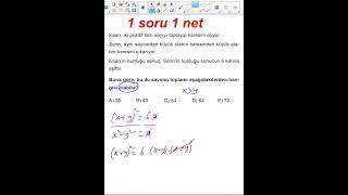 1 Soru 1 Net Çarpanlara Ayırma