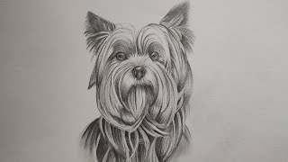 let's draw a puppy. beginner friendly.