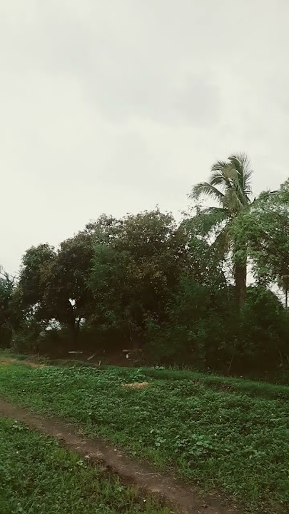 //JALI LENI DEVUDA//