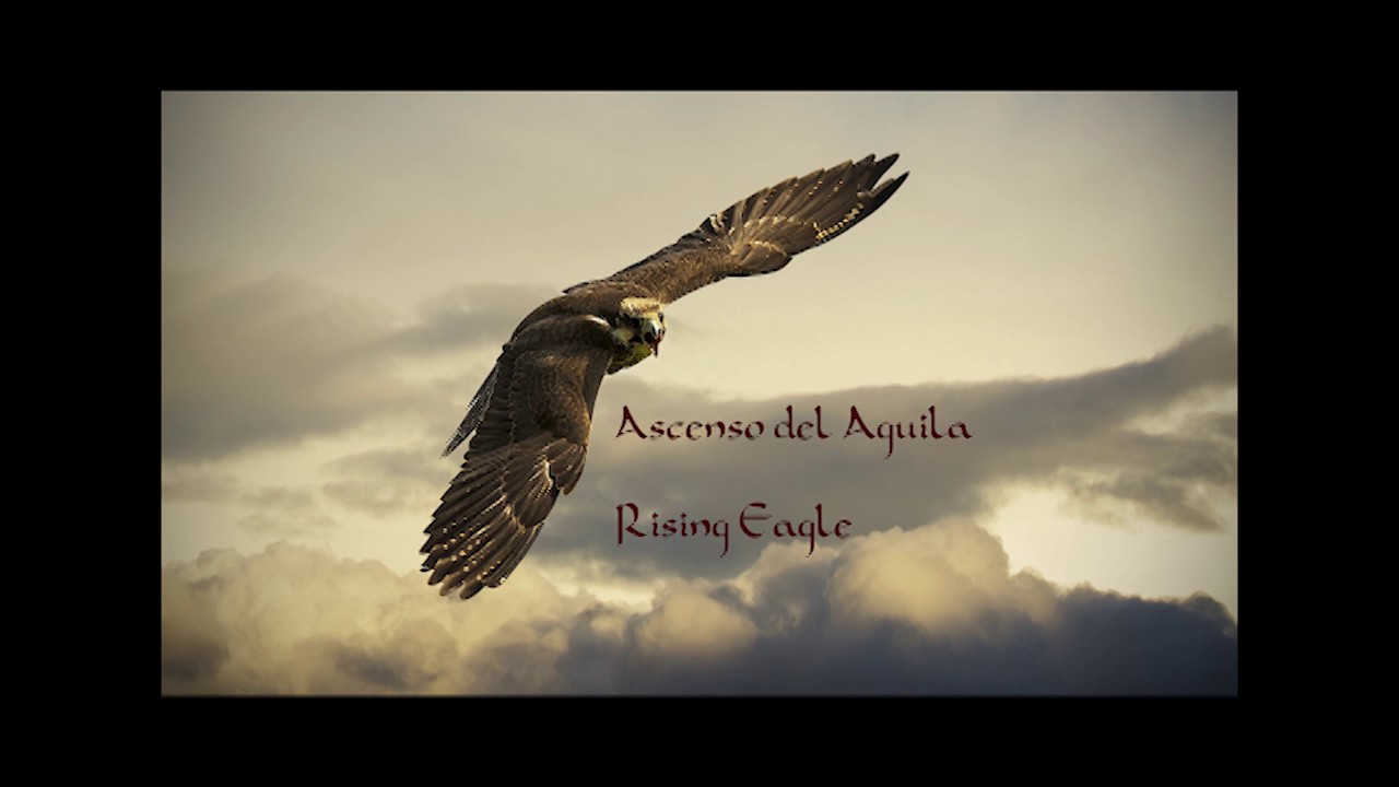 AscensoDelÁguila- Rising Eagle by Gonxalo faSoul - YouTube