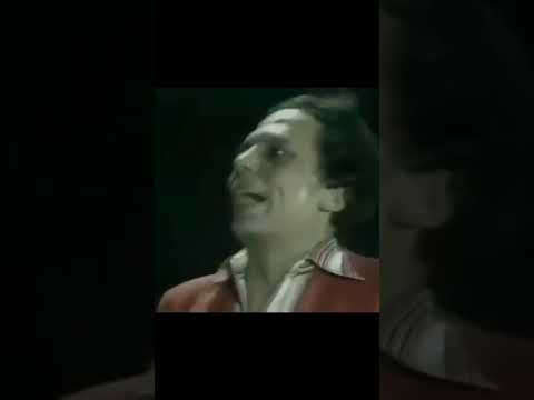 متعوده دايمن